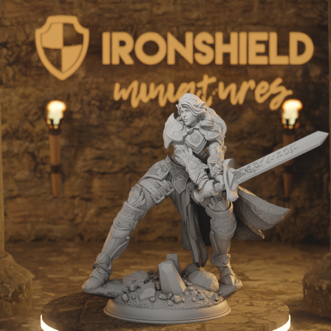 Elf Fighter Righteous Holy Paladin - Syrinlena