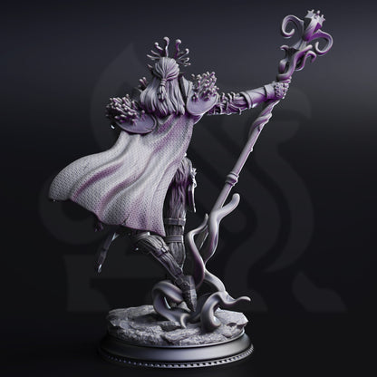 Blessed  – Drow Spellblade with Staff Aberration Sorcerer
