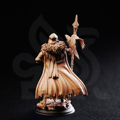 The One Eyed Wanderer - Human Warrior Druid 3D printed miniature detail view tabletop RPG