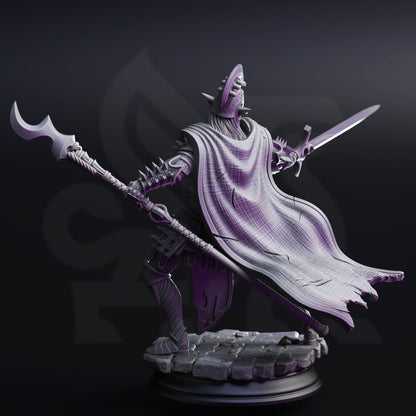 Ordained – High Priest of the Shrouded Veil Drow Elf