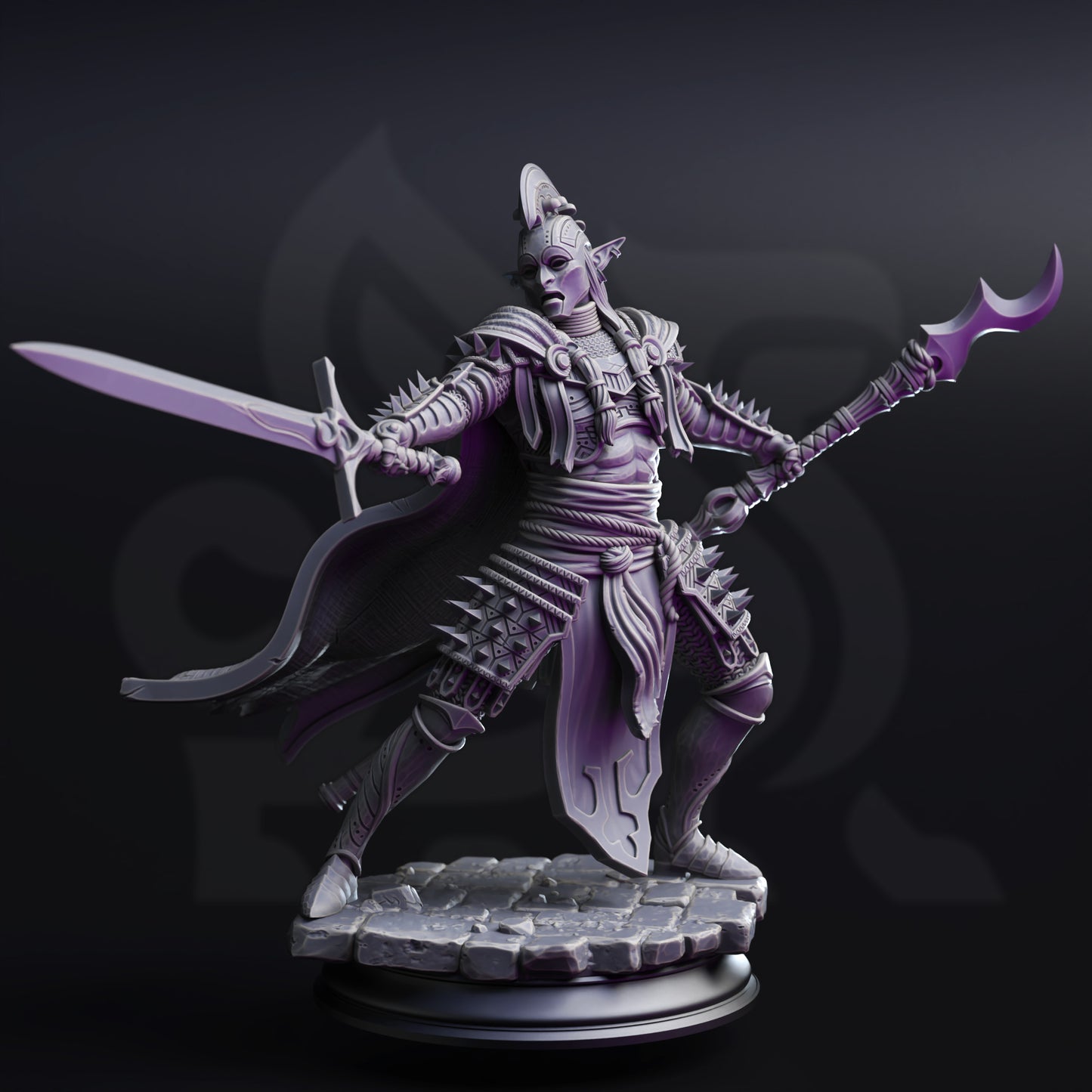 Ordained – High Priest of the Shrouded Veil Drow Elf
