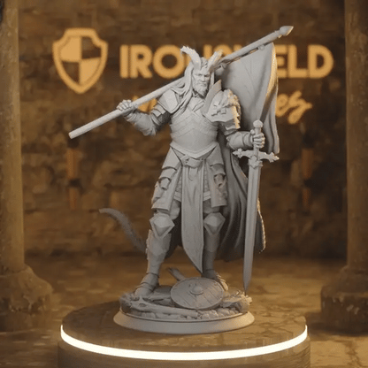 The Captain DnD miniature 360 turntable animation