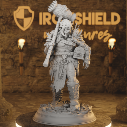 A Colossal Threat - DND 5e Starter Campaign - Full Set 15 Figures + Maps + Characters Sheets D&D