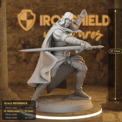 Vaelyx Shadow Warlock 2 Elf Warlock DnD miniature 3D printed resin tabletop RPG figure