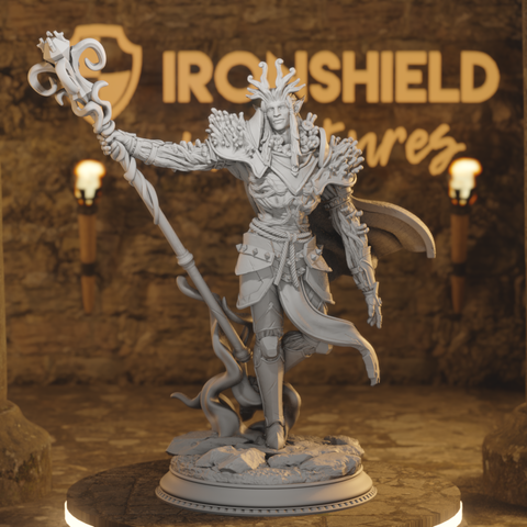 Bendito  – Drow Spellblade with Bastón Aberración Hechicero