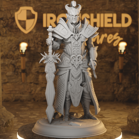 Valius High Elf Fighter Paladin Warrior
