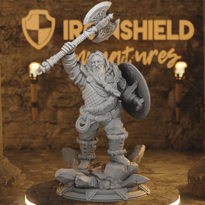 Ziln - Dwarf Cleric Sharp Axe Warrior