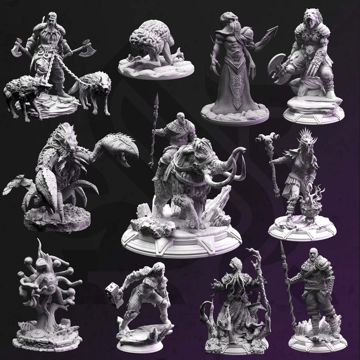 Brawn & Brains - Full Set 12 Fighter Wizard Adventurer Miniatures | DnD Tabletop RPG | DM Stash