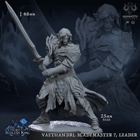 Vaethandri Elf Knight Leader