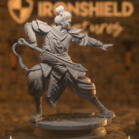 Jin Shi - Commander Ninja Assassin
