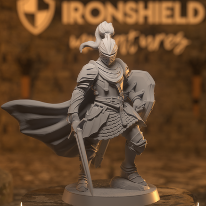 The Real Boy - Longsword