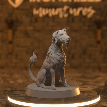 The Real Boy - Blink Dog