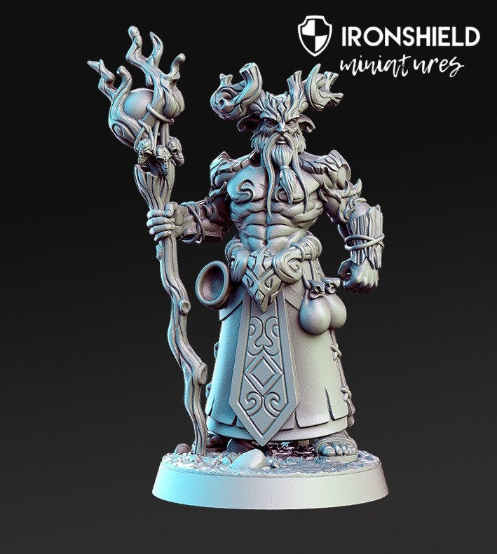 Aerlin - Druid Mage Forest Wizzard mini for dnd figure print 3d 12k miniature 32mm miniatures Gift Idea | Dungeons and Dragons | Tabletop