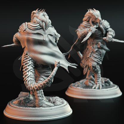 Dragonborn Assassin Rogue - Umbrascale Warrior figure with base print 3d 12k miniature Gift Idea mini Dungeons & Dragons Tabletop | DM Stash