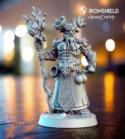 Aerlin - Druid Mage Forest Wizzard mini for dnd figure print 3d 12k miniature 32mm miniatures Gift Idea | Dungeons and Dragons | Tabletop