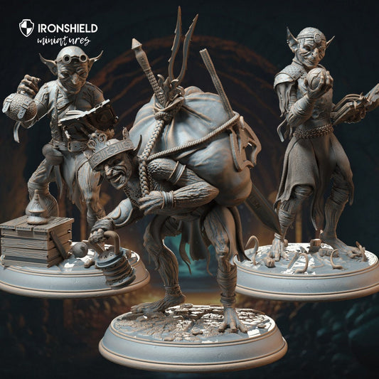 Mana Goblin Trio - Alchemist, Sorcerer, Loot (3 Variants) figure print 3d 12k miniature Gift Idea | Dungeons & Dragons | Tabletop | DM Stash