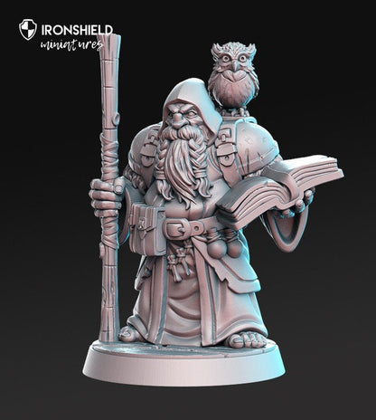 Dramnir - Dwarf Wizard sage wanderer  mini for dnd figure print 3d 12k miniature miniatures Gift Idea | Dungeons and Dragons | Tabletop