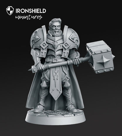 Sir Warrick - Male Paladin Hammer Defender mini for dnd figure print 3d 12k miniature miniatures Gift Idea | Dungeons and Dragons | Tabletop