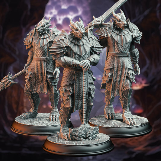 Dragonborn Warriors - Dragon Knight Squad (3 Variants) figure print 3d 12k miniature Gift Idea | Dungeons & Dragons | Tabletop | DM Stash