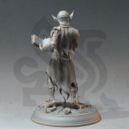 Mana Goblin Trio - Alchemist, Sorcerer, Loot (3 Variants) figure print 3d 12k miniature Gift Idea | Dungeons & Dragons | Tabletop | DM Stash