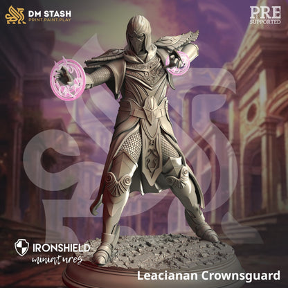 Leacianan Guard High Elf Mage Wizard Sorcerer