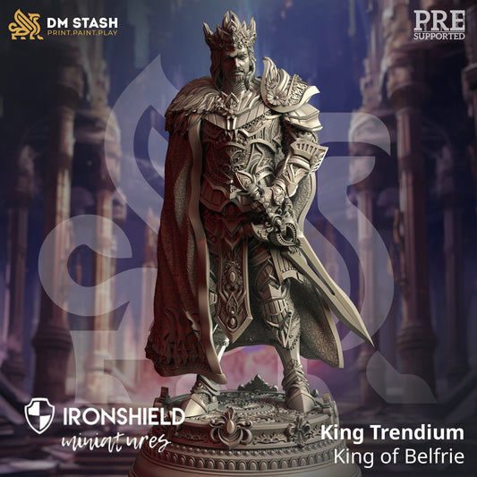 Human Warrior King - King Trendium Figure 12k + Base Print 3D RPG Miniature Gift Idea mini | Dungeons & Dragons | Tabletop | DM Stash