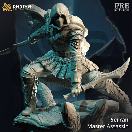 Master Assassin Rogue - Serran Figure 12k + Base Print 3D RPG Miniature Gift Idea mini | Dungeons & Dragons | Tabletop | DM Stash