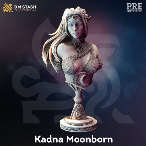 BUSTE - Prêtresse de la Lune Drow - Kadna Glyndrel Figurine de 120 mm de haut Impression 3D Miniature 12k Idée cadeau Donjons et Dragons Tabletop DM Stash