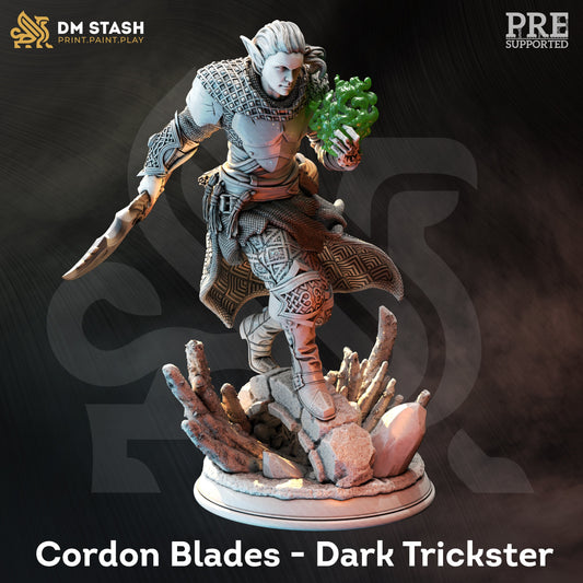 Drow Arcane Elf Trickster - Cordon Blades Figure 12k + Base Print 3D RPG Miniature Gift Idea mini | Dungeons & Dragons | Tabletop | DM Stash