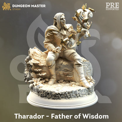 Divine Sorcerer of Wisdom Elf - Tharador Figure + Base print 3d 12k miniature Gift Idea mini | Dungeons & Dragons | Tabletop | DM Stash