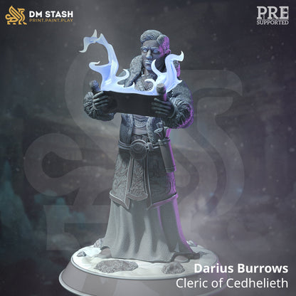 Halfling Snow Cleric - Darius Burrows Figure + Base print 3d 12k dnd miniature Gift Idea mini | Dungeons & Dragons | Tabletop | DM Stash