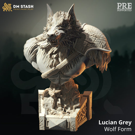 BUST - Werewolf Barbarian Fighter - Lucian Grey 120mm tall figure print 3d 12k miniature Gift Idea Dungeons and Dragons Tabletop DM Stash