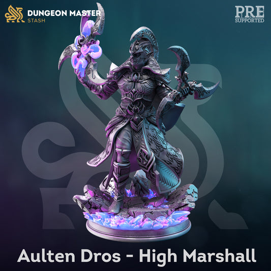 High Elf Eldritch Knight - Aulten Dros Figure 12k + Base Print 3D RPG Miniature Gift Idea | Dungeons & Dragons mini | Tabletop | DM Stash