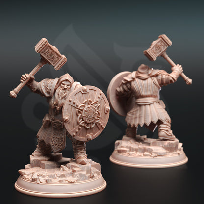 Dwarven Life Cleric - Tors of Delvdor Dwarf