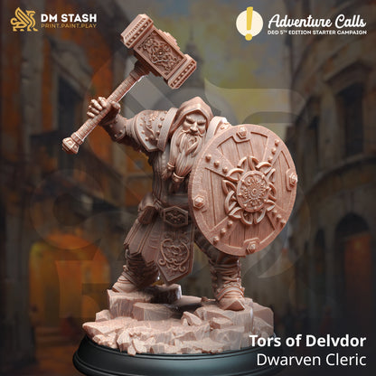 Dwarven Life Cleric - Tors of Delvdor Dwarf