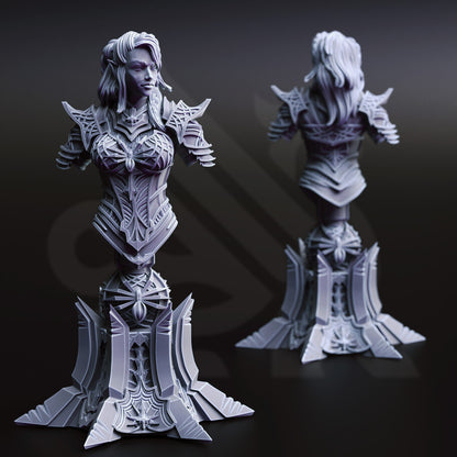 BUST - Drow Assassin - Vakara N'Thara 120mm tall figure