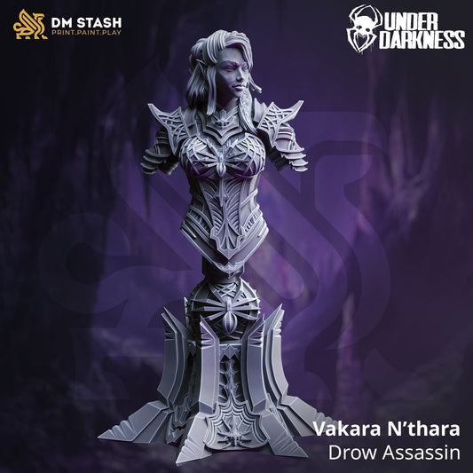 BUST - Drow Assassin - Vakara N&#39;Thara 120mm tall figure print 3d 12k miniature Gift Idea | Dungeons and Dragons | Tabletop | DM Stash