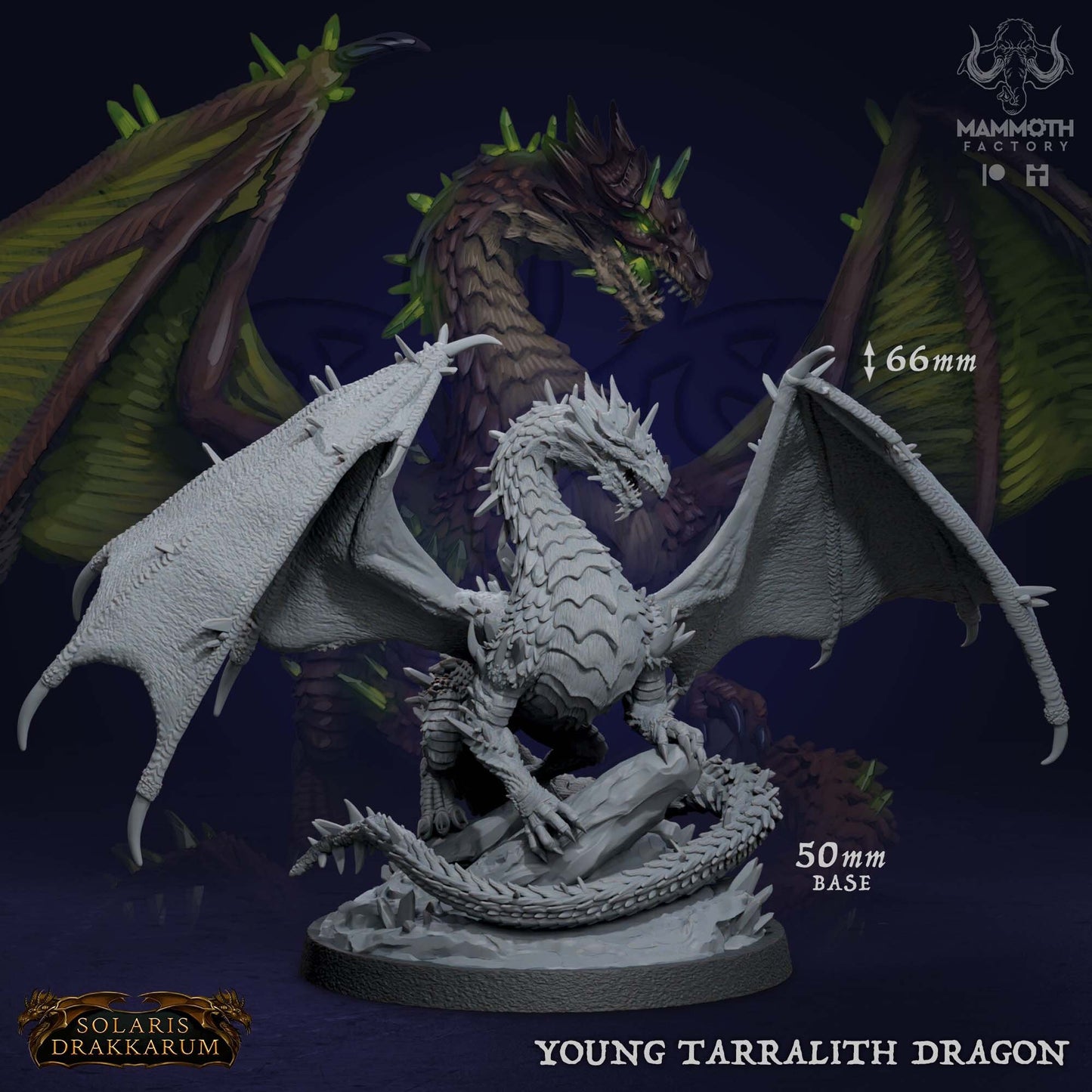 Young Tarralith Dragon Rock Drake Figure 12k 14k + BONUS Print 3D RPG Miniature Gift Idea mini | Dungeons & Dragons | Tabletop | Mammoth