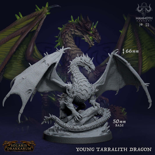 Young Tarralith Dragon Rock Drake Figure 12k 14k + BONUS Print 3D RPG Miniature Gift Idea mini | Dungeons & Dragons | Tabletop | Mammoth