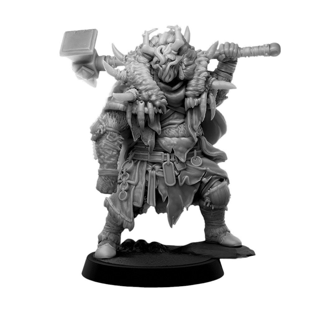 Ancestor 2 Frost Warrior Hammer Figure DND 14k + BONUS Print 3D RPG Miniature Gift Idea mini | Dungeons n Dragons D&D | Tabletop | Mammoth