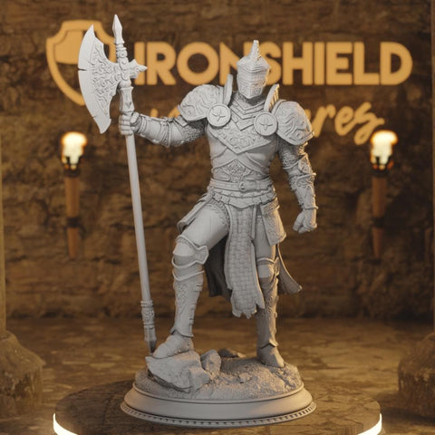 Ser Claudius Paladin Fighter Knight