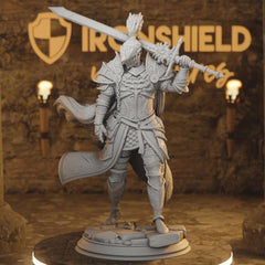 Lothar the Black Knight Paladin Fighter