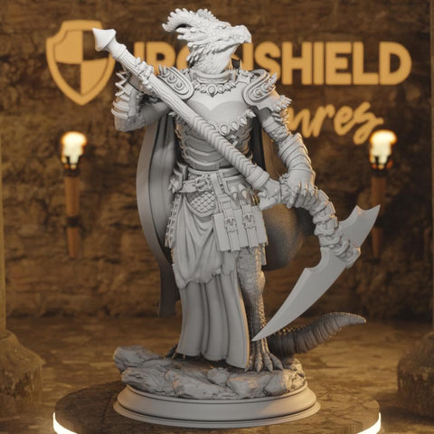 Ilvias Beastfolk Dragon Cleric Warrior