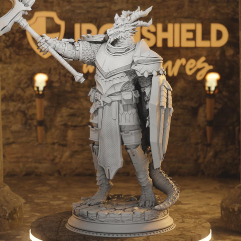 Azmordion Beastfolk Dragon Paladin Knight