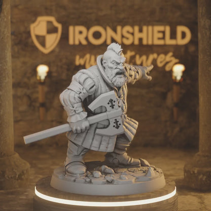 Bori van gilden Dwarf Fighter Barbarian — 360° rotating view of 3D printed DnD miniature