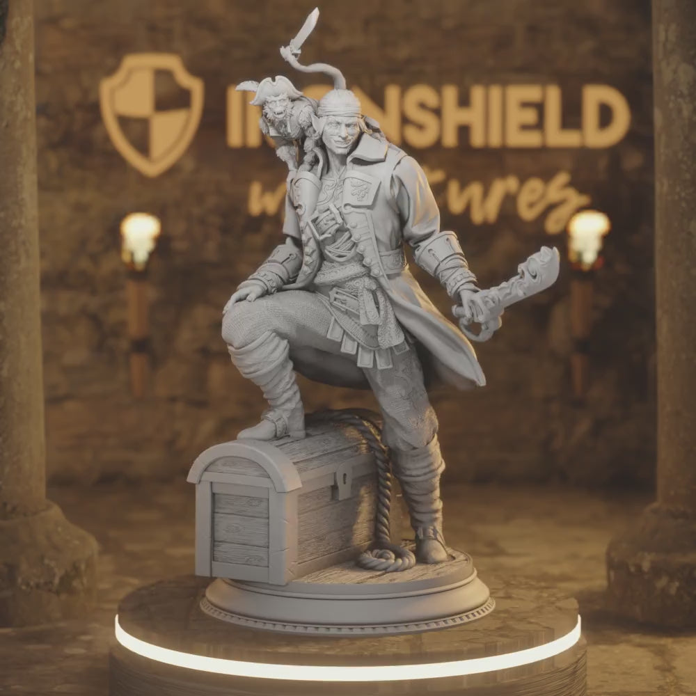 Ervin – Elemi Sneaky Buccaneer with Monkey — 360° rotating view of 3D printed DnD miniature