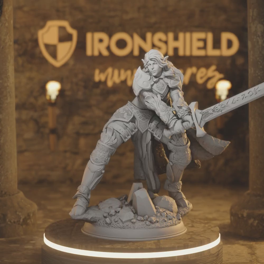 Elf Fighter Righteous Holy Paladin - Syrinlena — 360° rotating view of 3D printed DnD miniature