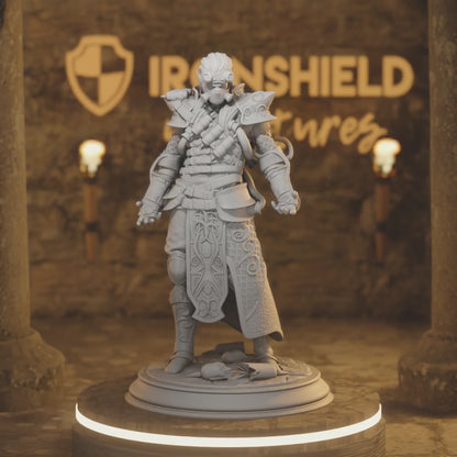 High Elf Chaos Artificer - Netros Warrior