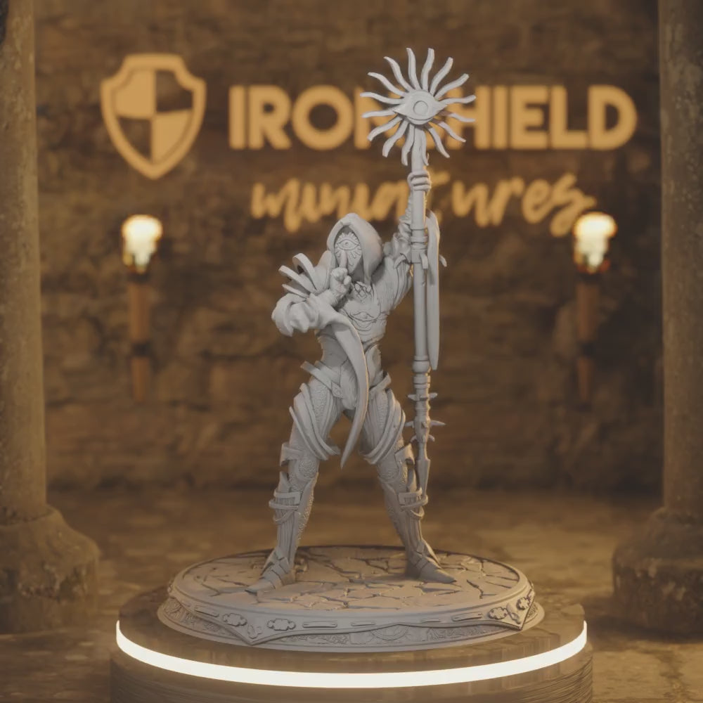 Seroca Sorcerer Wizard Divine of Secrets — 360° rotating view of 3D printed DnD miniature