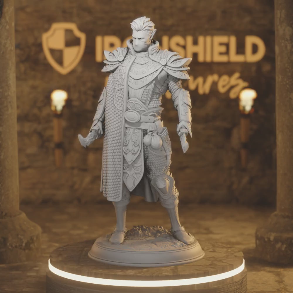 High Elf Rogue Arcane Agent - Esterian — 360° rotating view of 3D printed DnD miniature